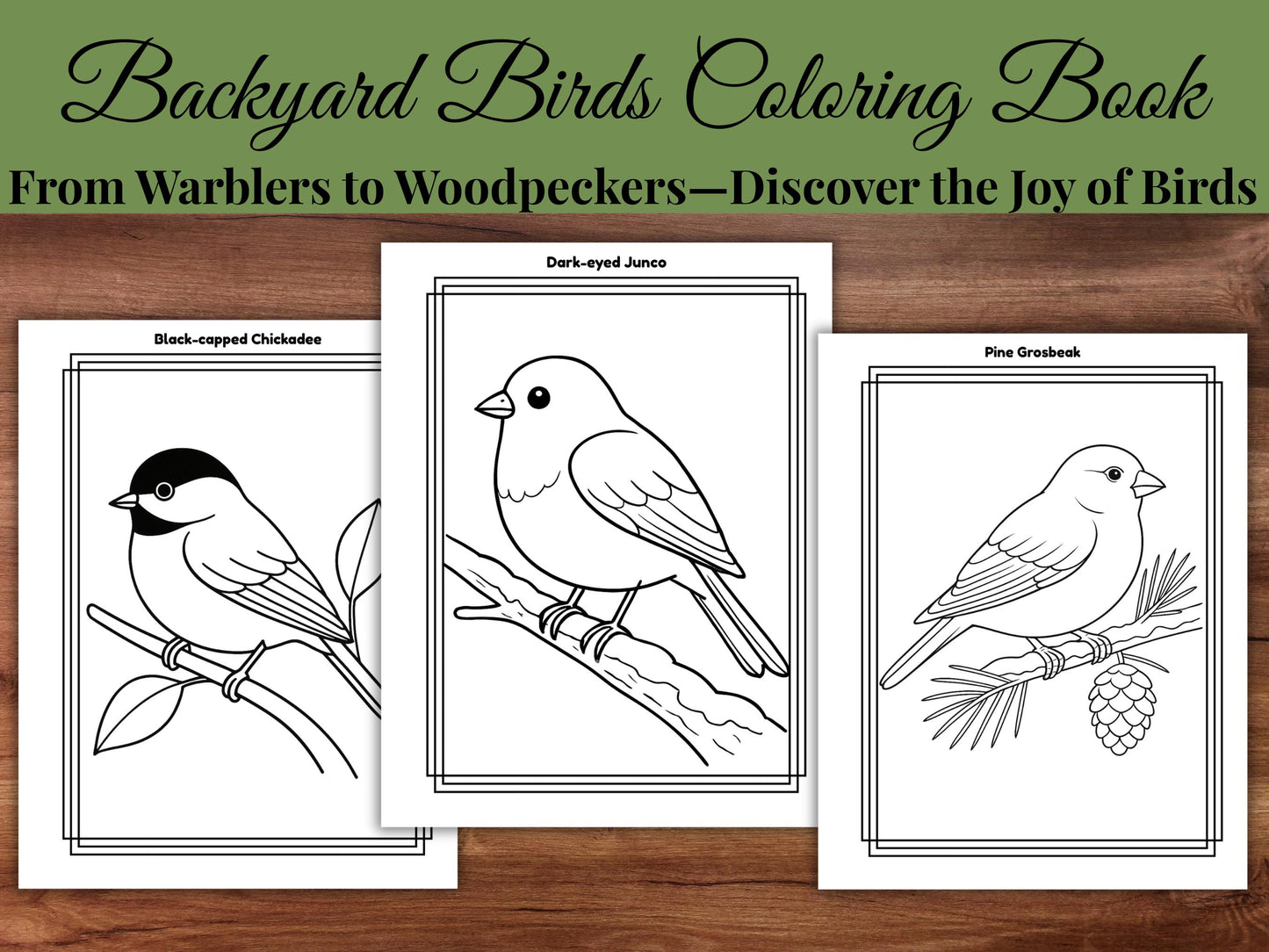 Backyard Birds Coloring Book: Printable Nature Coloring Pages (Digital Download)