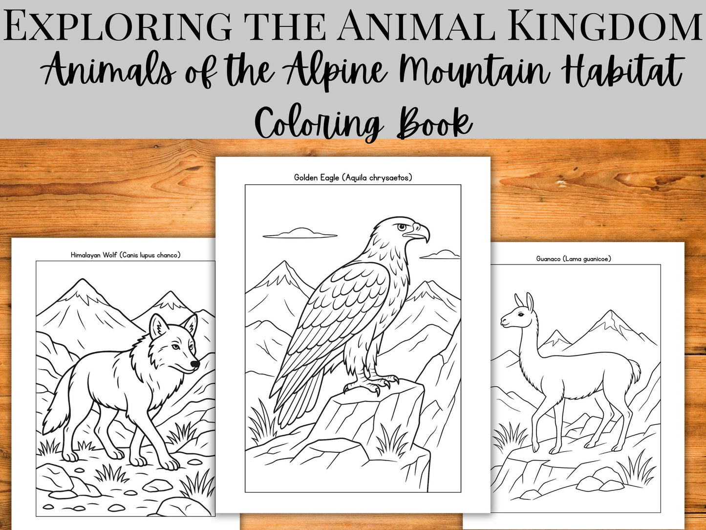 Alpine Animals Coloring Book: 30 Mountain Wildlife Pages (PDF Printable Activity)