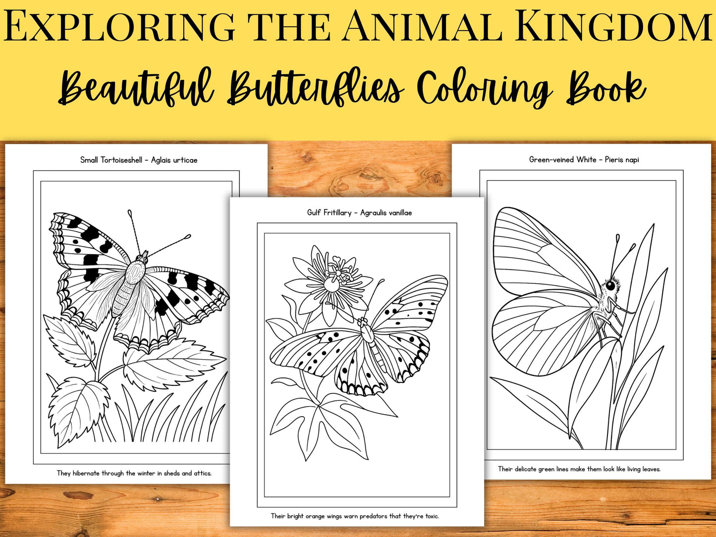 Beautiful Butterflies Coloring Book for Kids | Educational Insect Coloring Pages with Names & Fun Facts | Grades 2β6 Printable