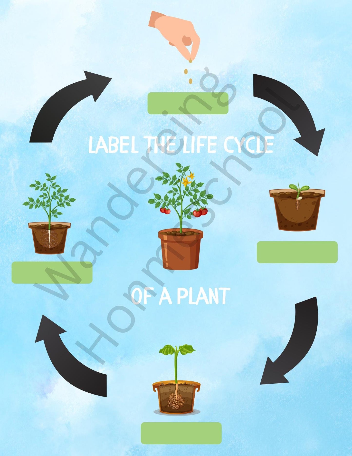 Printable Preschool Plant Learning Bundle