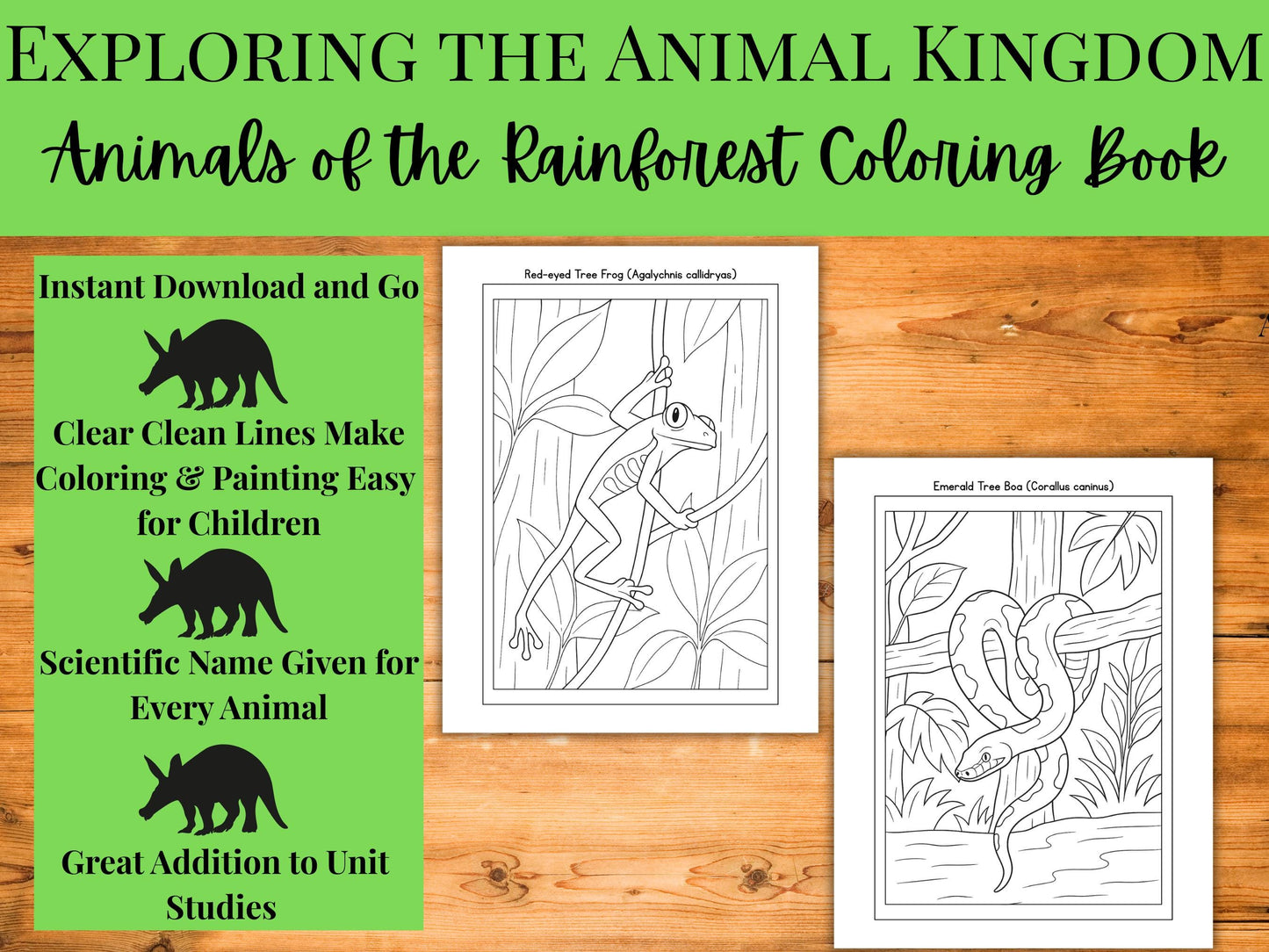 Rainforest Animals Coloring Book: 30 Educational Wildlife Pages (PDF Format)