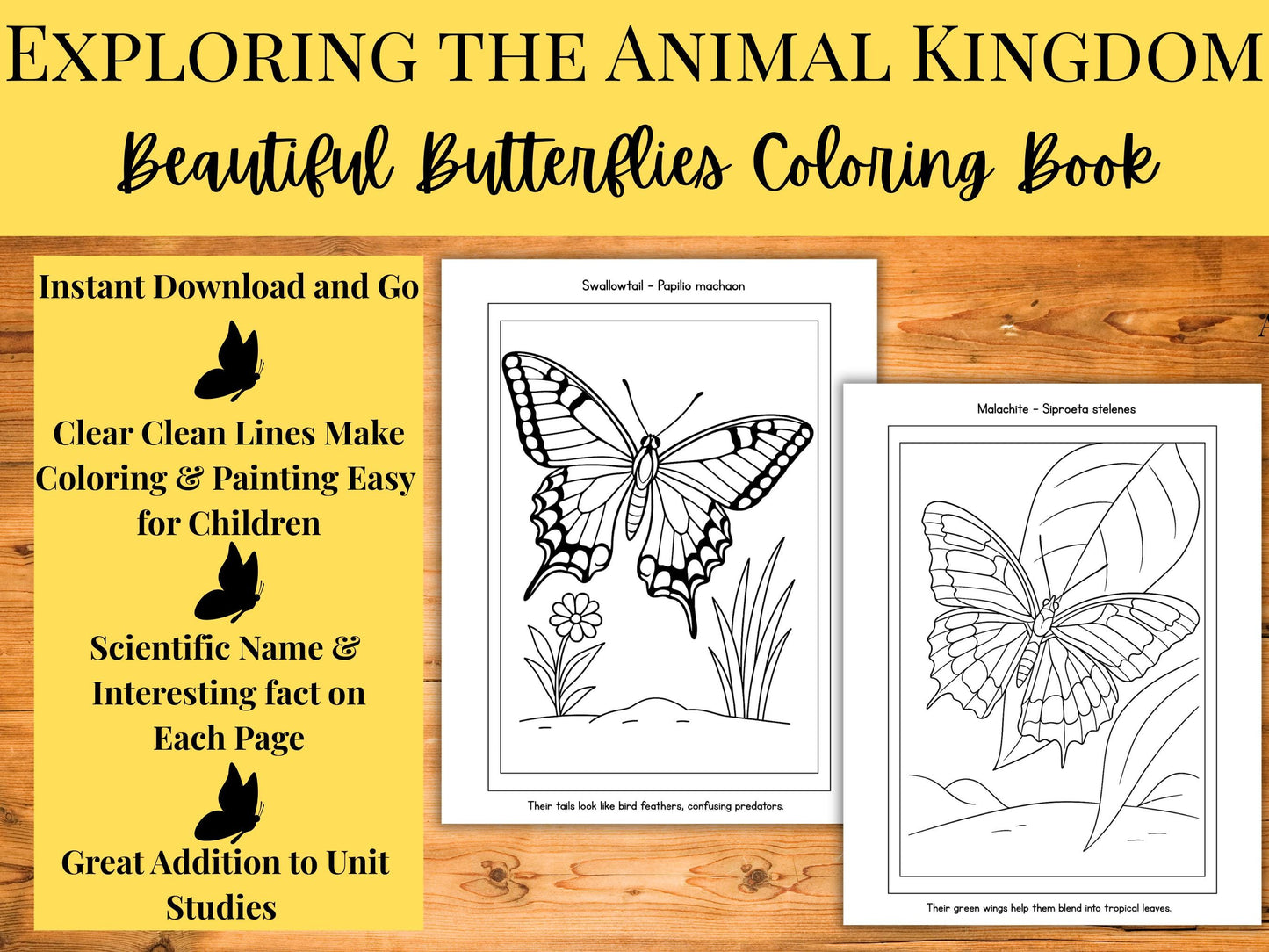 Beautiful Butterflies Coloring Book for Kids | Educational Insect Coloring Pages with Names & Fun Facts | Grades 2–6 Printable