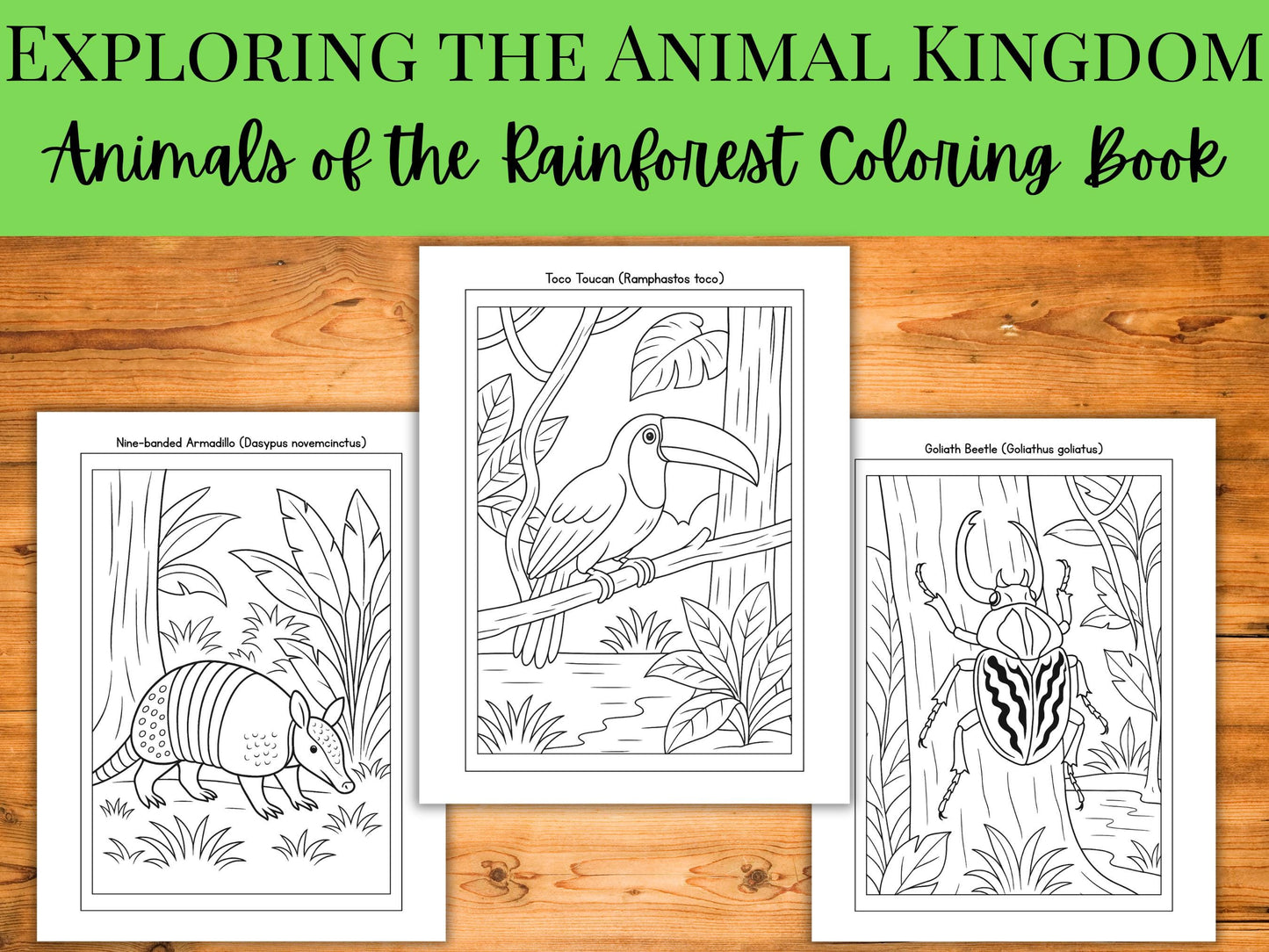 Rainforest Animals Coloring Book: 30 Educational Wildlife Pages (PDF Format)
