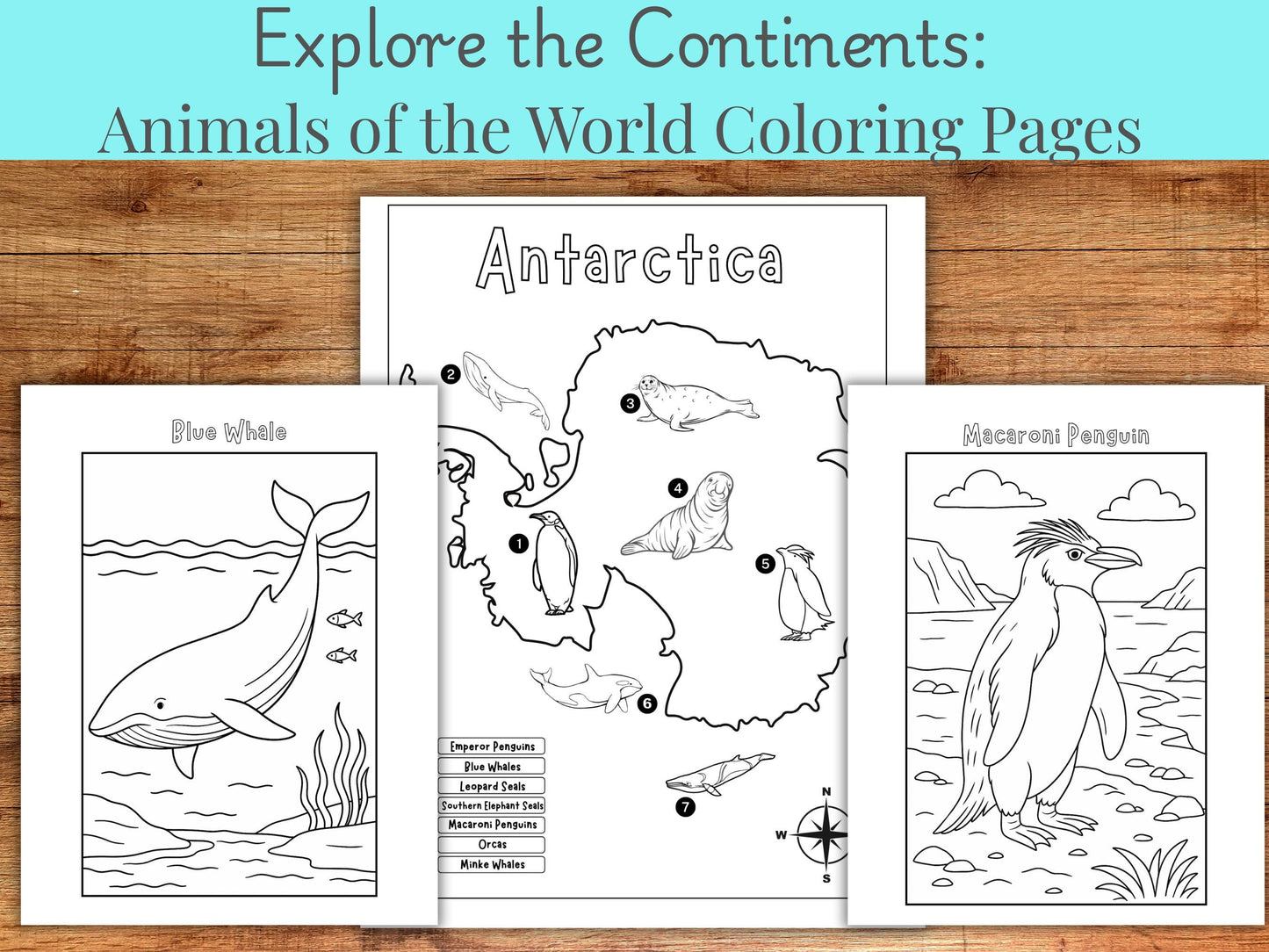 Animals of the World Coloring Pages: Educational Geography Bundle (PDF Download)