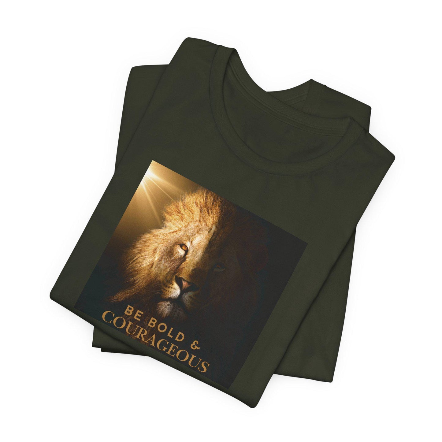 Women's Bold and Courageous Lion Jersey Tee, Christian Strength, Courage Inspirational Shirt