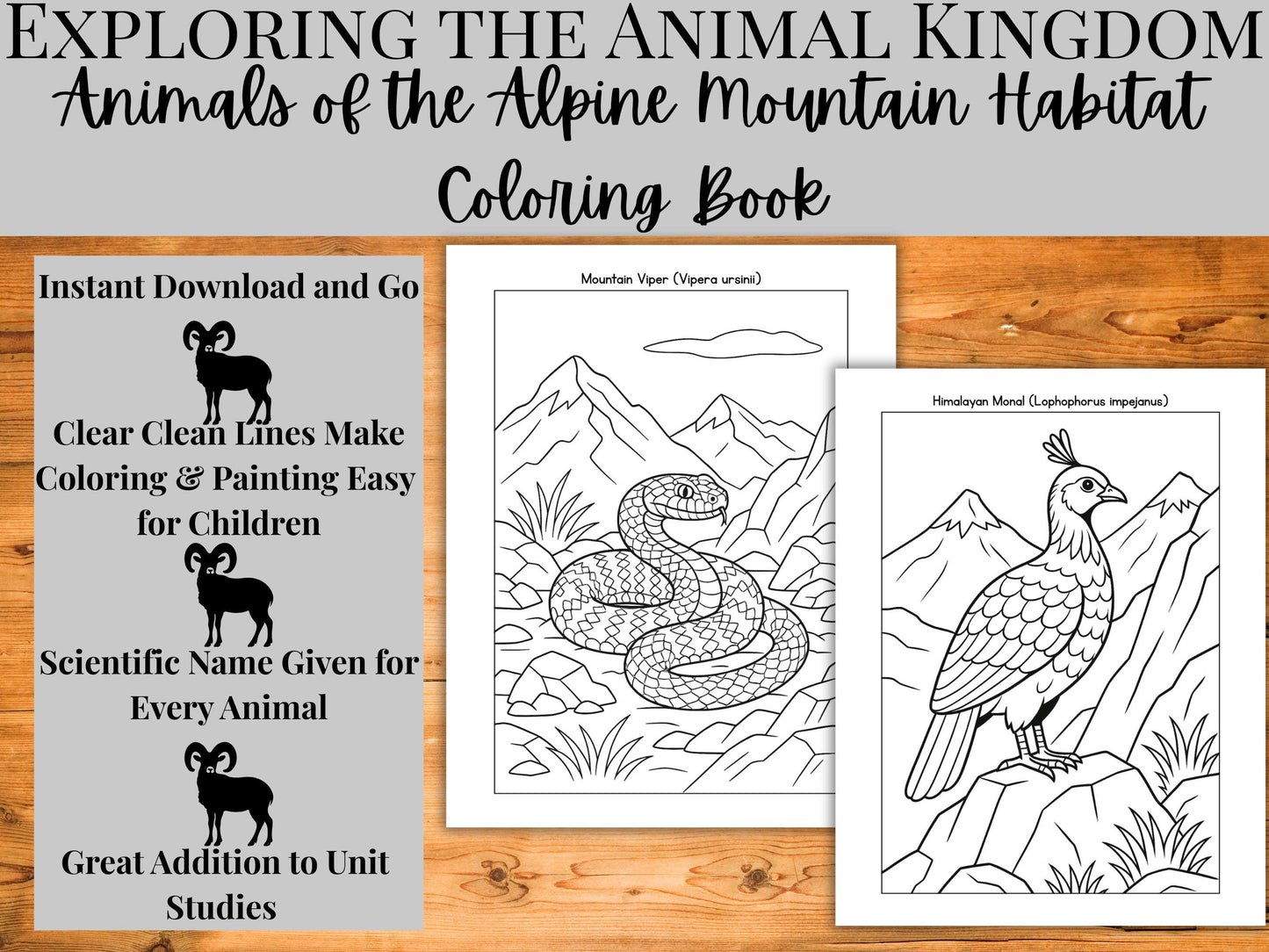 Alpine Animals Coloring Book: 30 Mountain Wildlife Pages (PDF Printable Activity)