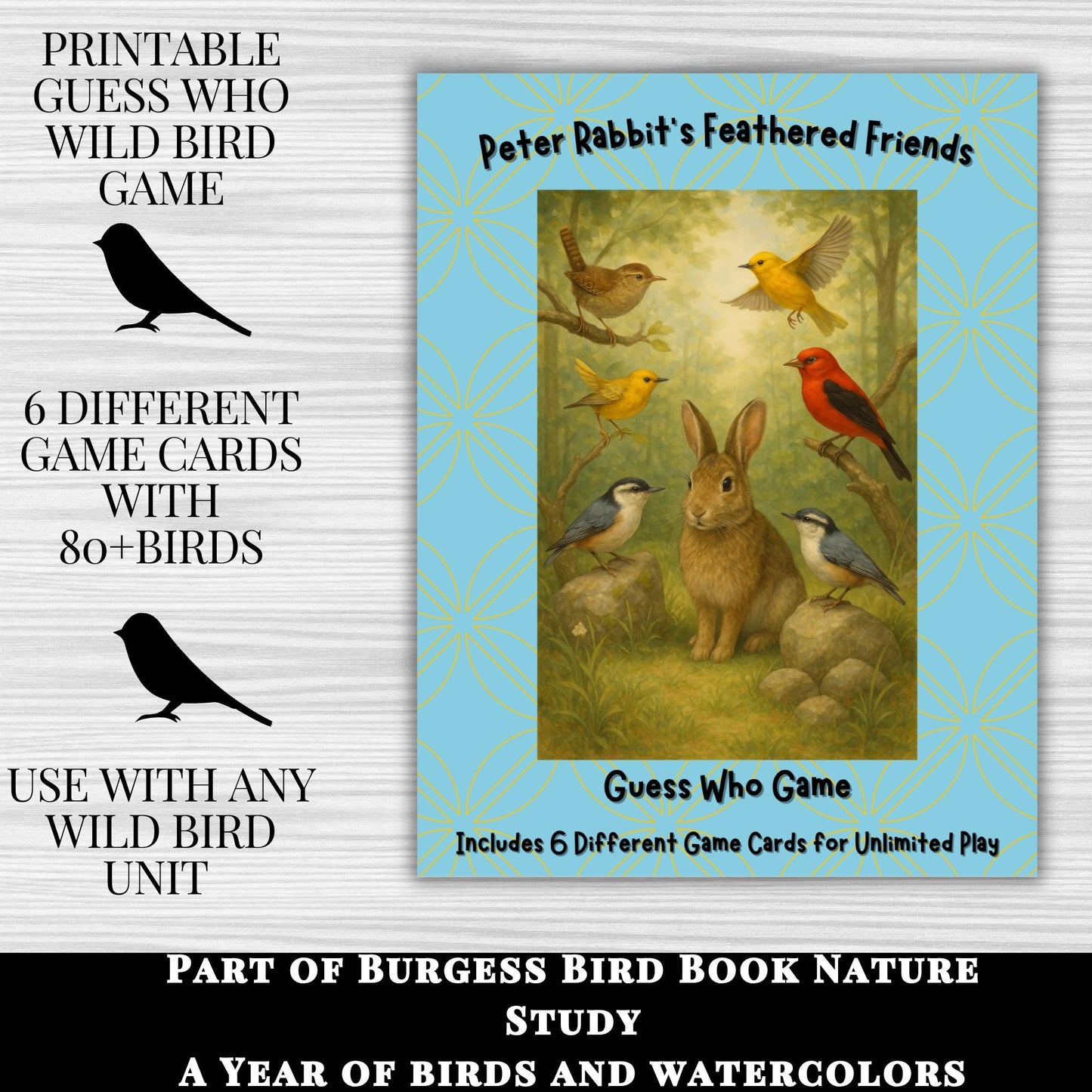 Burgess Bird Book Game: Printable Bird Identification for Kids