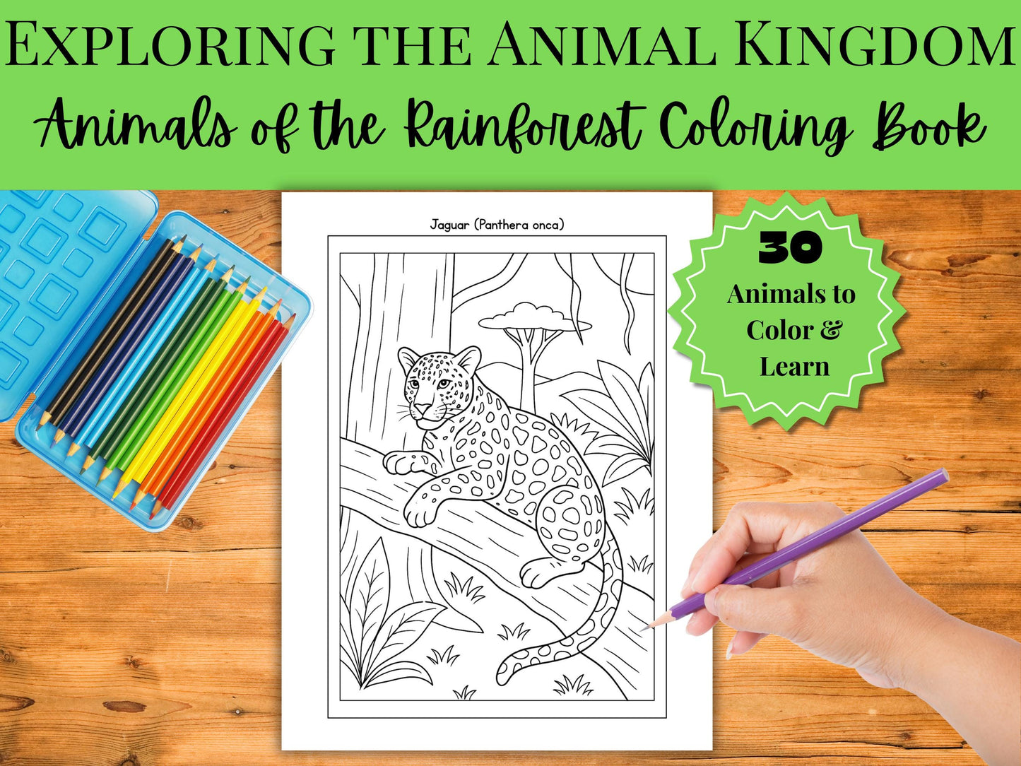Rainforest Animals Coloring Book: 30 Educational Wildlife Pages (PDF Format)