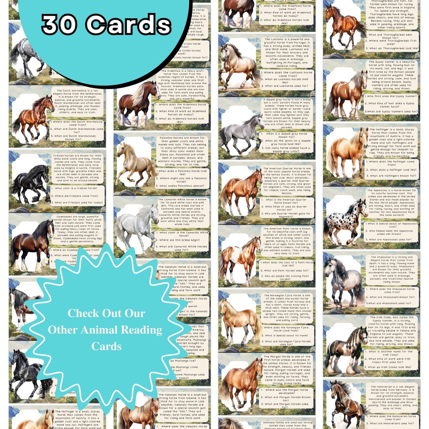 Mane Facts: Montessori Horse Breed Reading Comprehension Cards for Early Learners K-3rd Grade