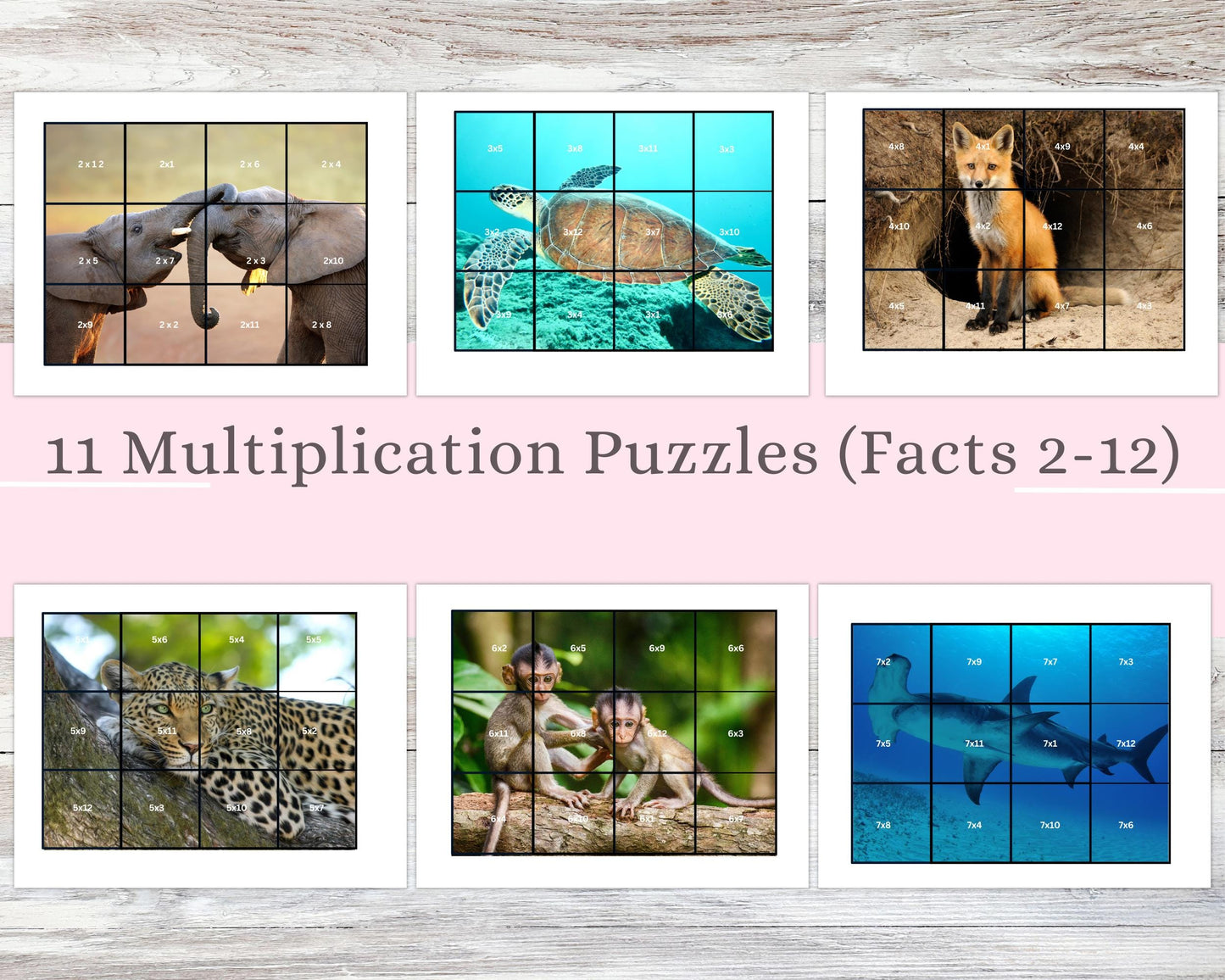 Wild Times Tables: Self-Checking Multiplication Puzzles (Facts 2–12)