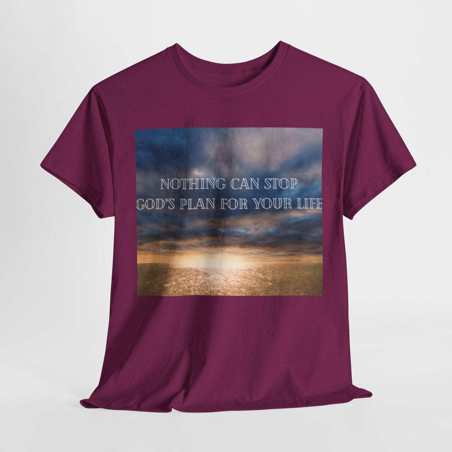 Women's God Has a Plan Cotton Tee
