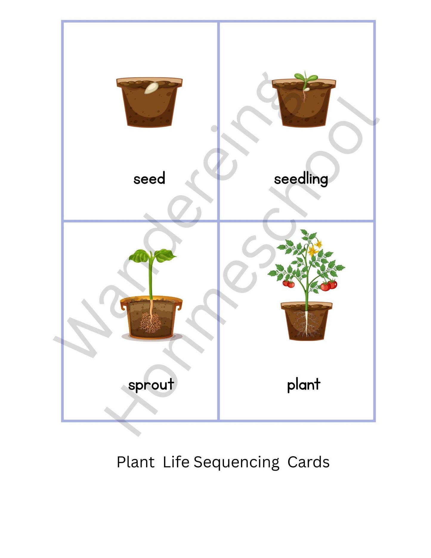 Printable Preschool Plant Learning Bundle