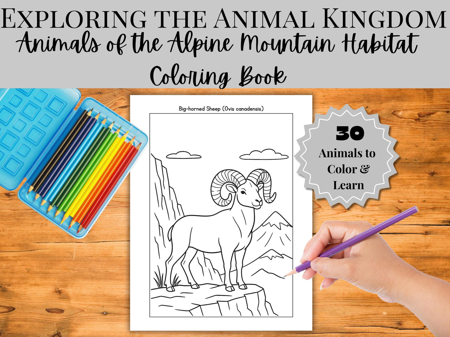 Alpine Animals Coloring Book: 30 Mountain Wildlife Pages (PDF Printable Activity)