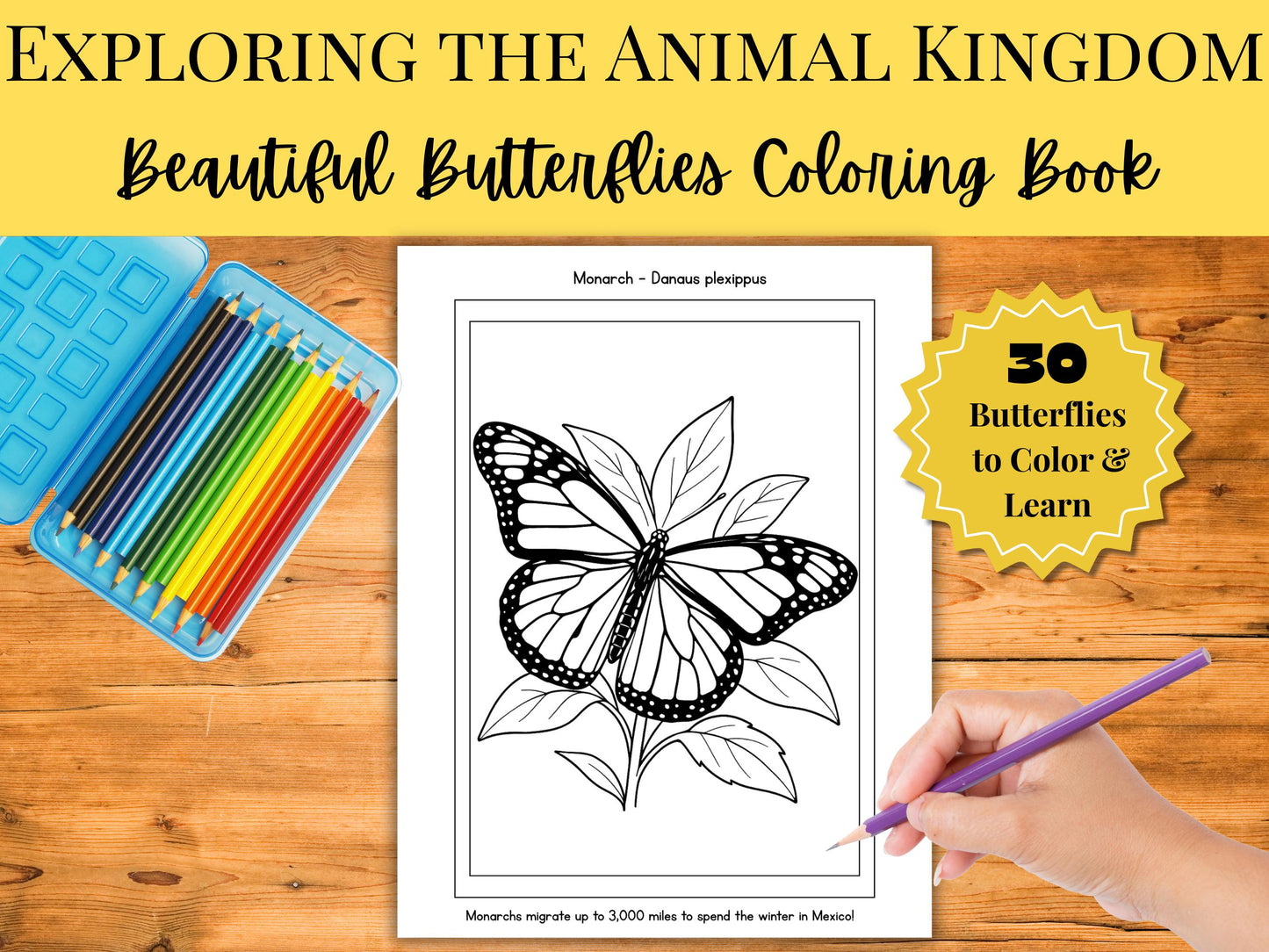 Beautiful Butterflies Coloring Book for Kids | Educational Insect Coloring Pages with Names & Fun Facts | Grades 2–6 Printable