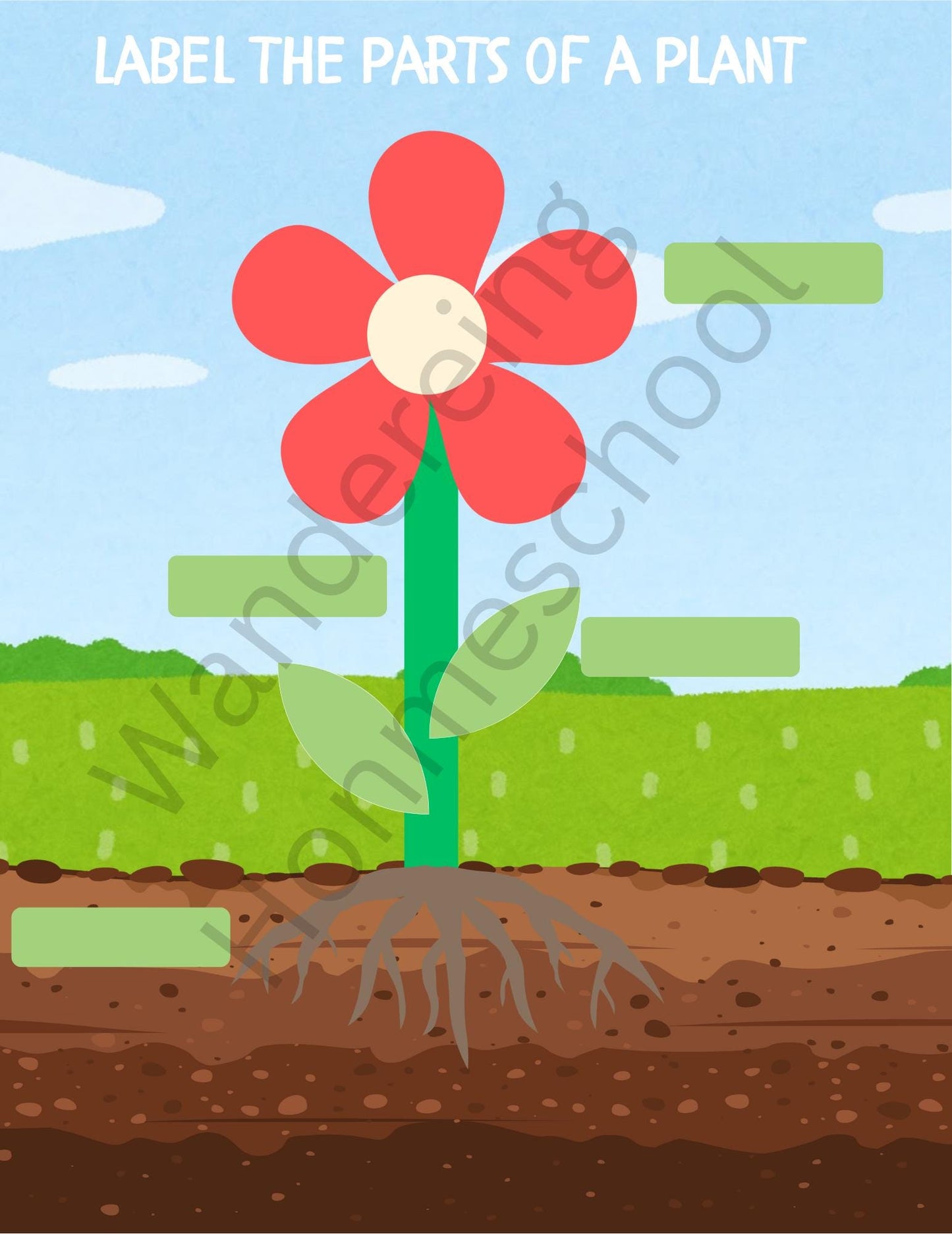 Printable Preschool Plant Learning Bundle